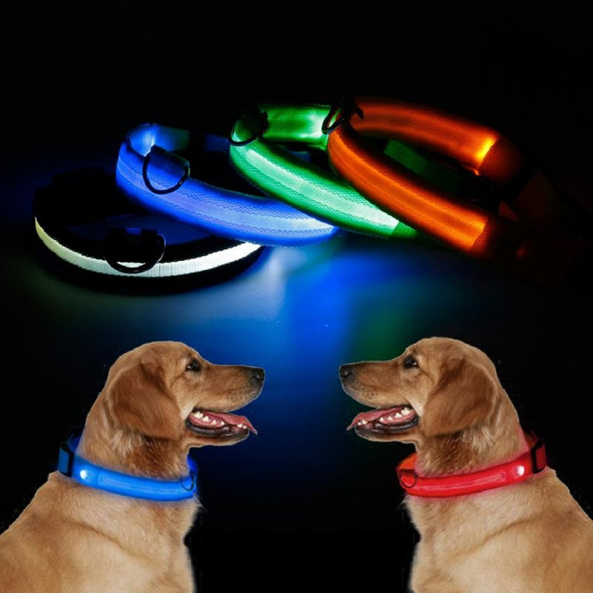 Collar LED Impermeable para Mascotas | Seguridad Nocturna | Ajustable y RecargableCollar Luz Led Reflectivo Mascotas
